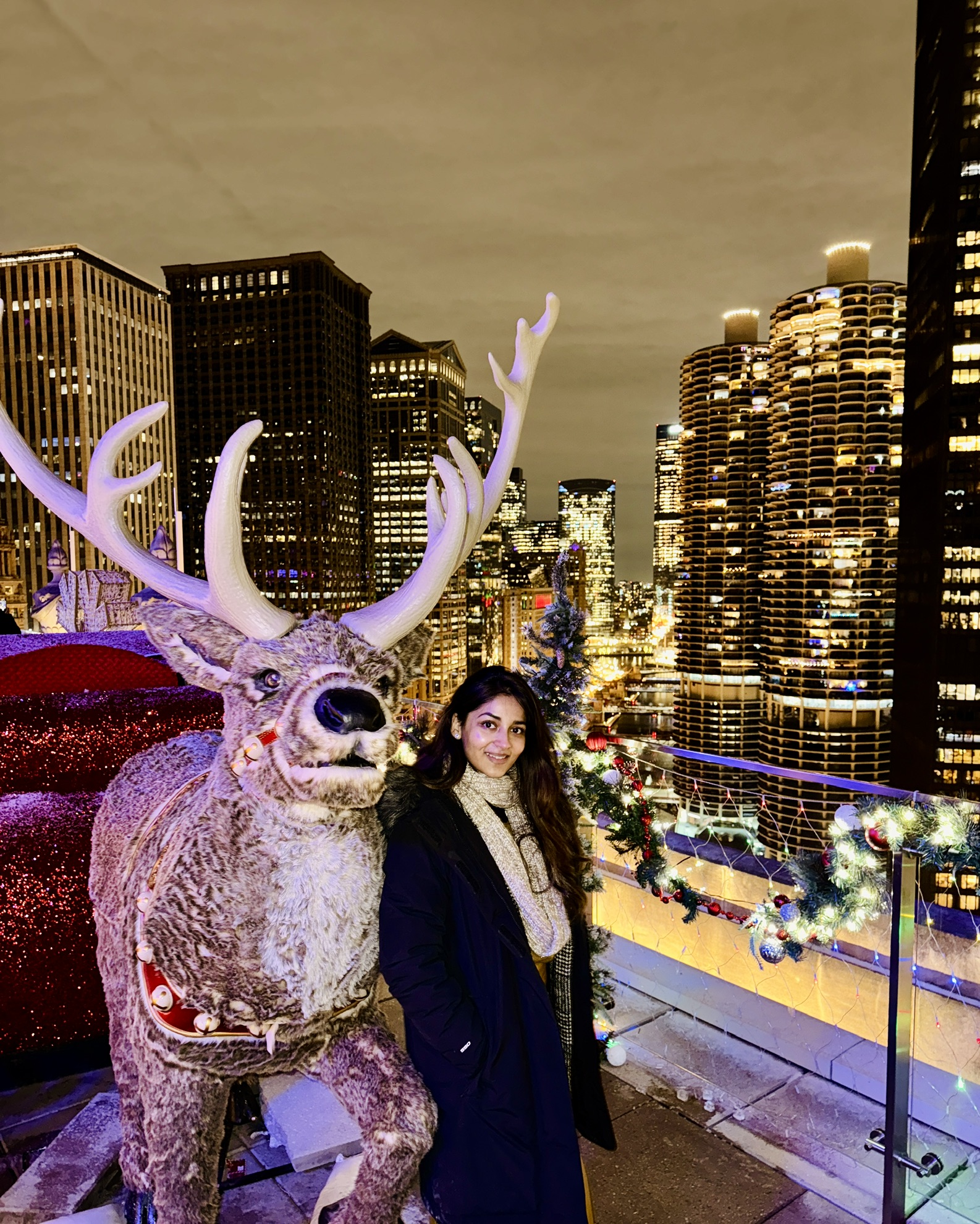 Chicago at Christmas
