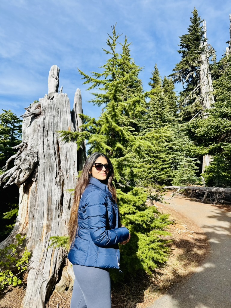 Mt. Hood forest