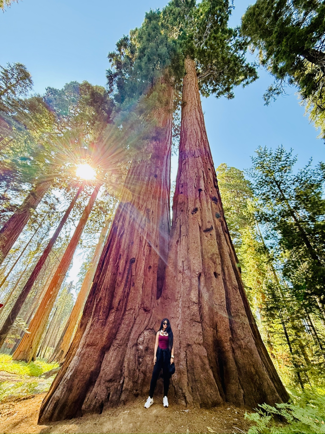 Sequoia National Park