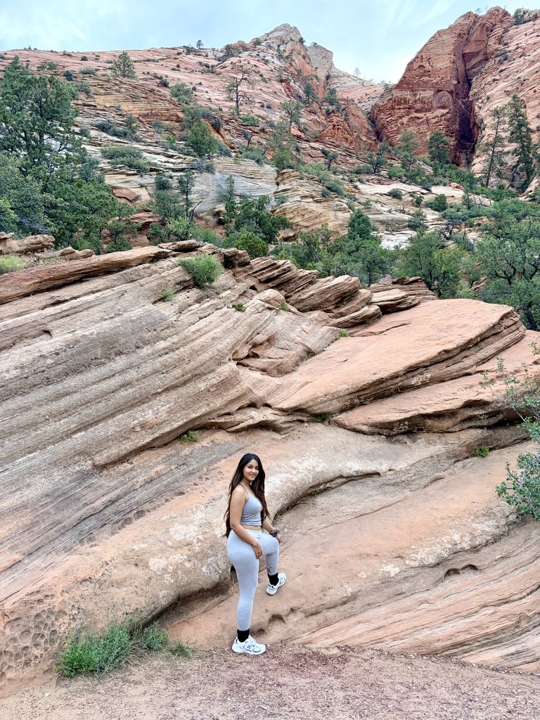 Zion red rocks